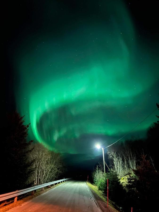 Sydalen house Villa Kleppstad Buitenkant foto